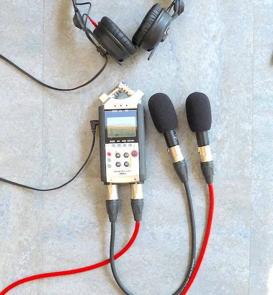 Pluggy XLR Primo EM272Z1 Mikrofon Stereo Paar