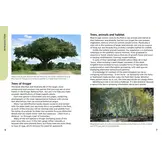 Trees of Kruger
