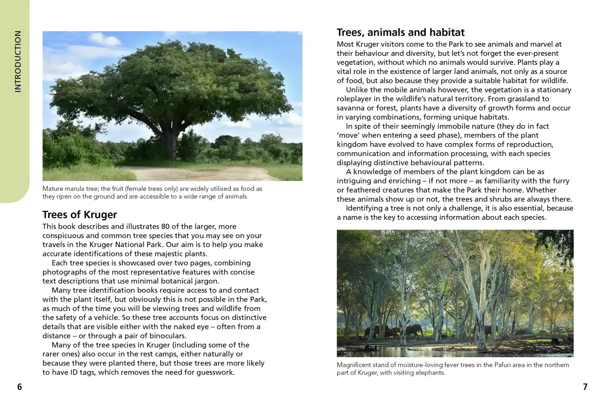 Trees of Kruger