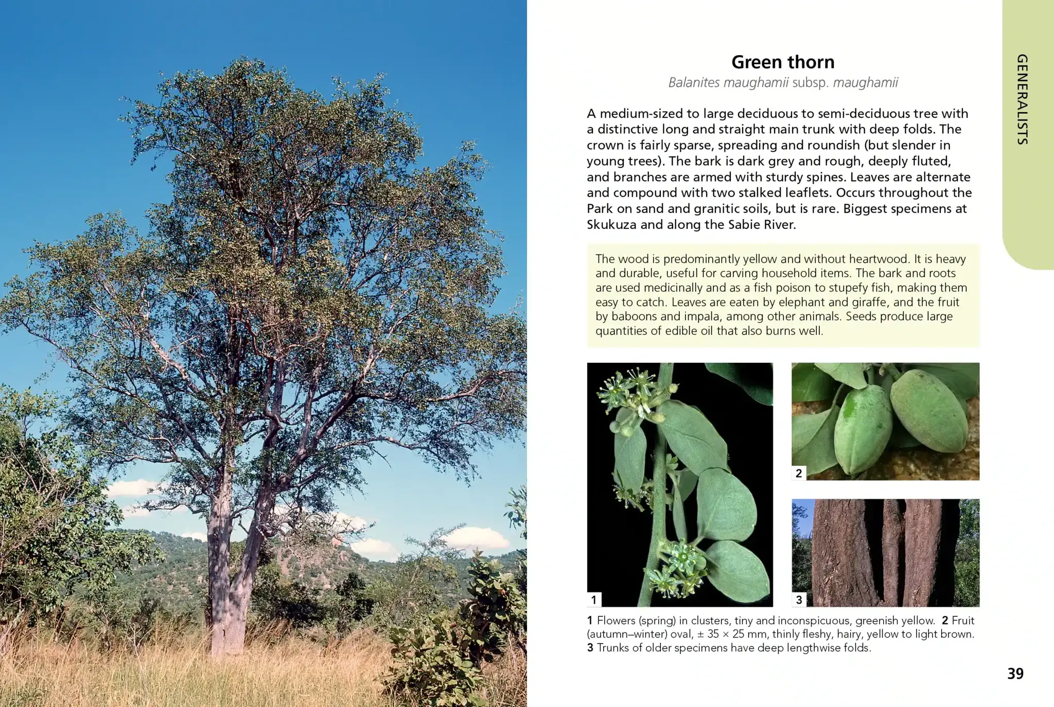 Trees of Kruger