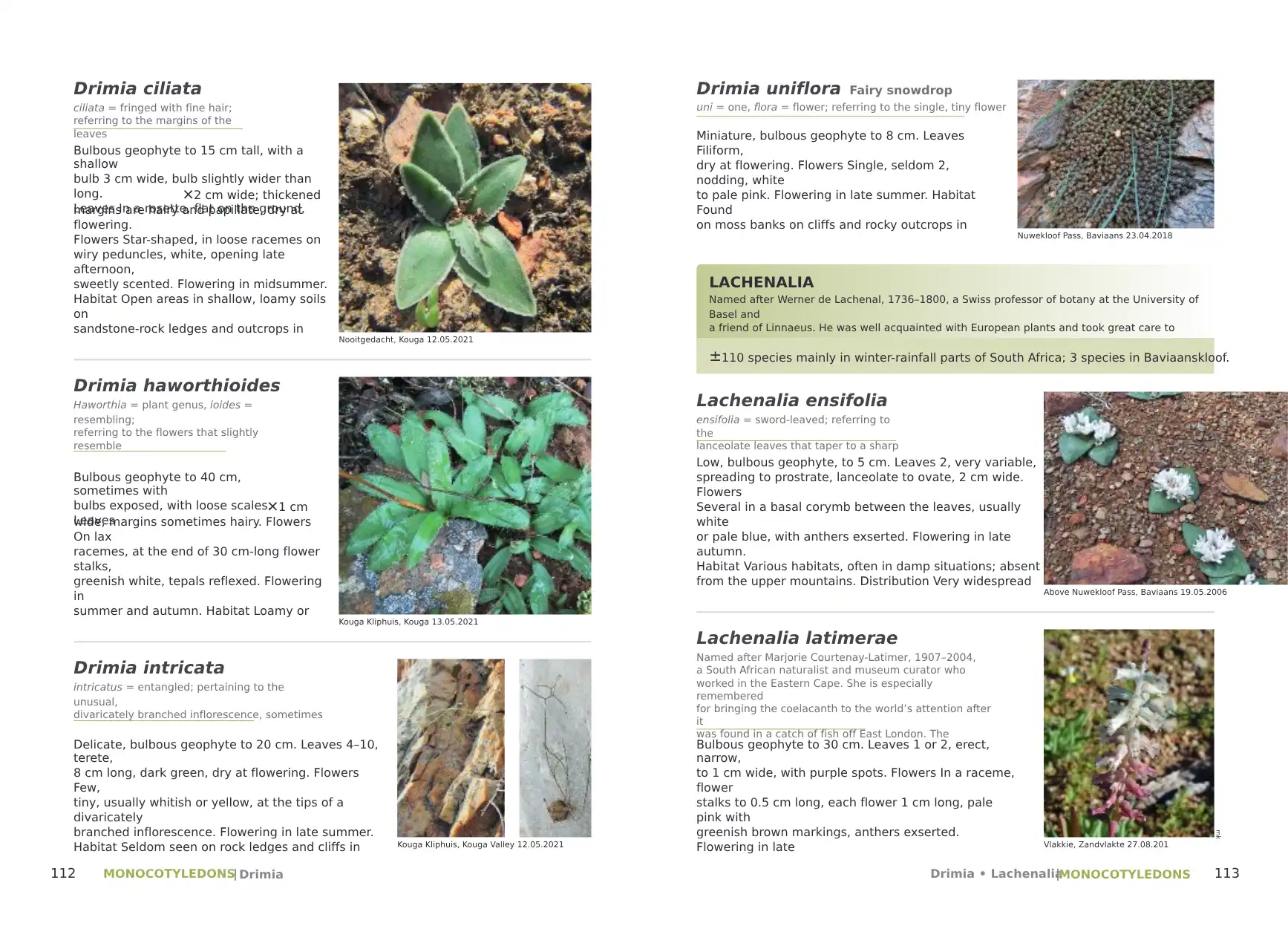 Plants of the Baviaanskloof