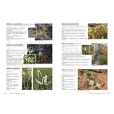 Plants of the Baviaanskloof