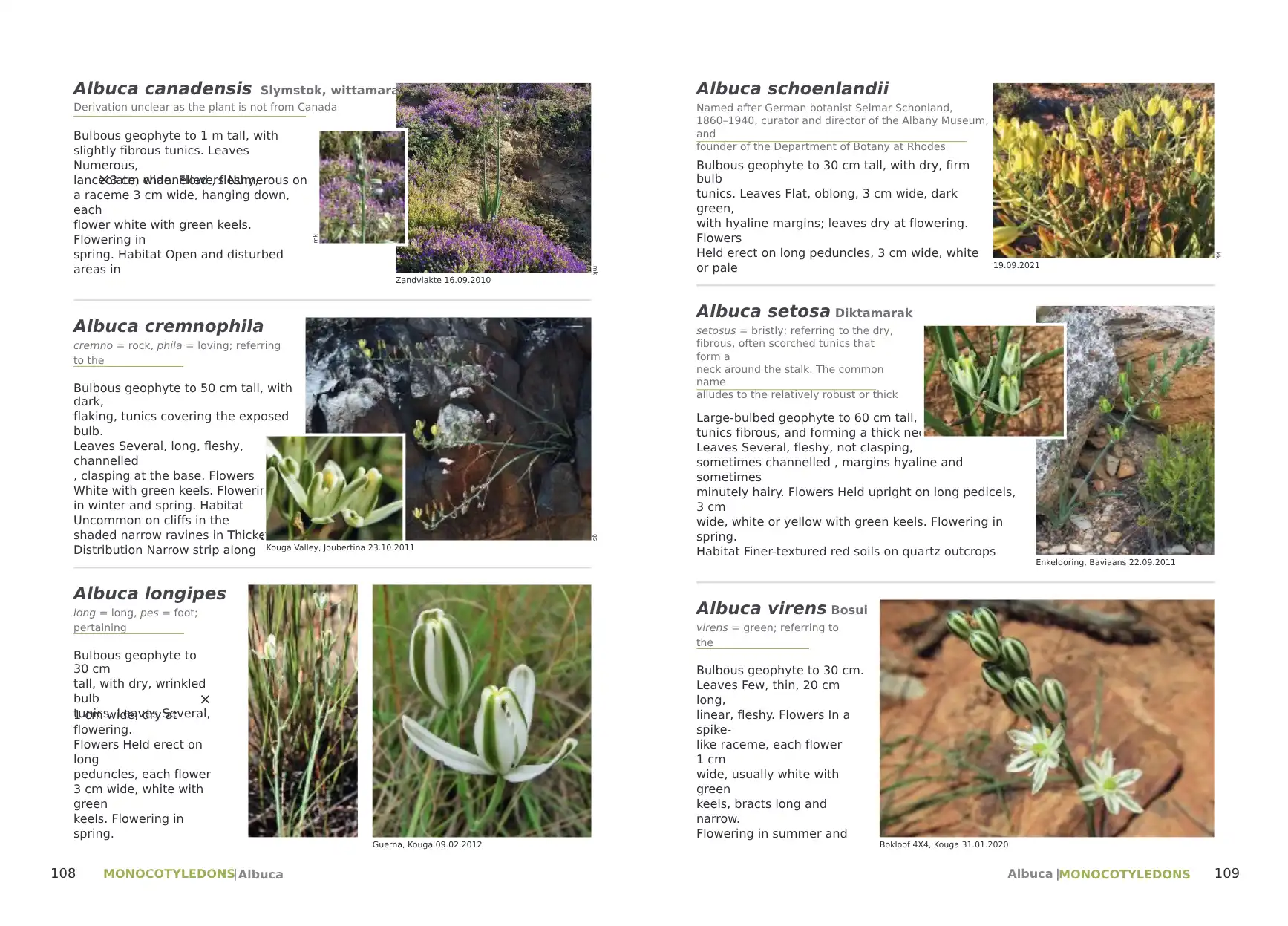 Plants of the Baviaanskloof