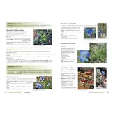 Plants of the Baviaanskloof