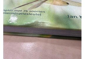 Beschädigte Kopie – Libellen van Nederland, België en Luxemburg
