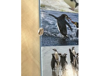 Beschadigd exemplaar – Mission Penguin