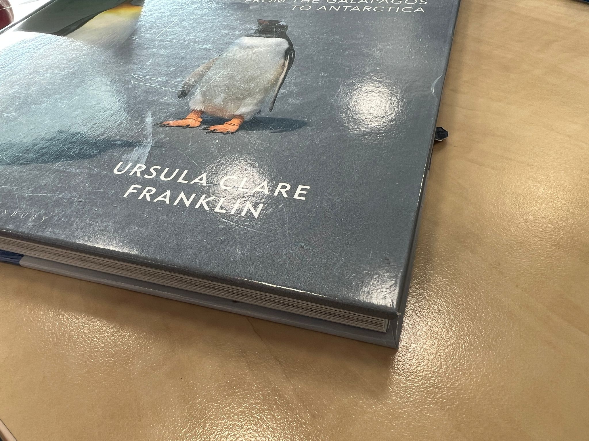 Damaged copy – Mission Penguin - A photographic quest from the Galápagos to Antarctica