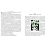 Orchid Species of the World