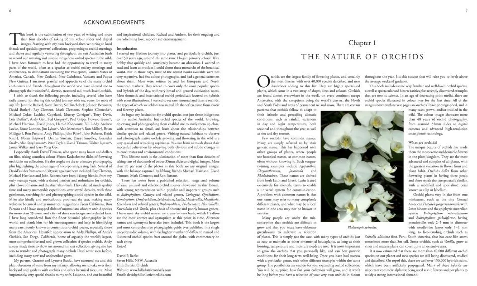 Orchid Species of the World