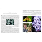 Orchid Species of the World