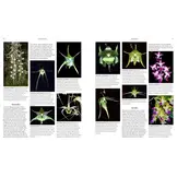 Orchid Species of the World