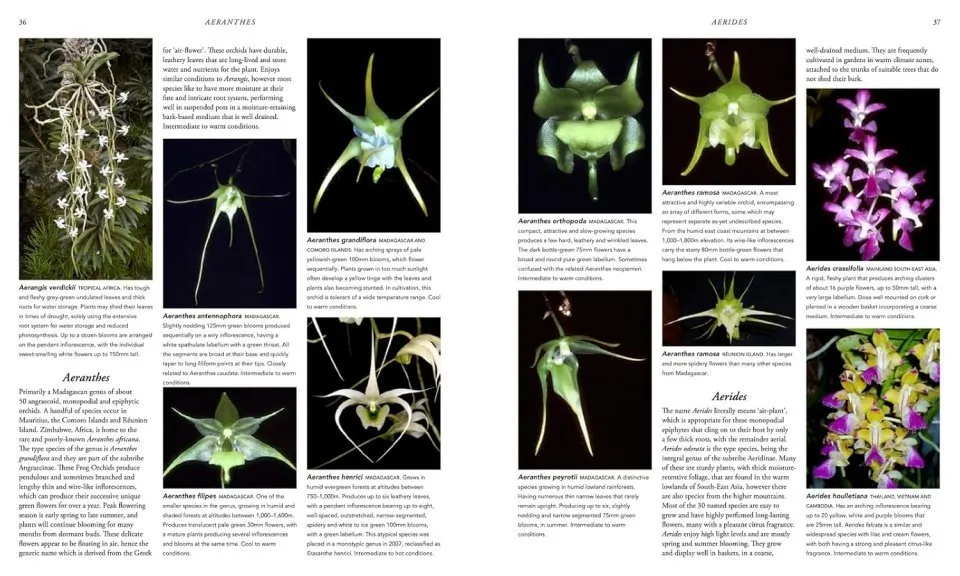 Orchid Species of the World