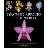 Orchid Species of the World