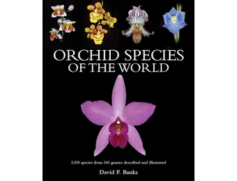 Orchid Species of the World