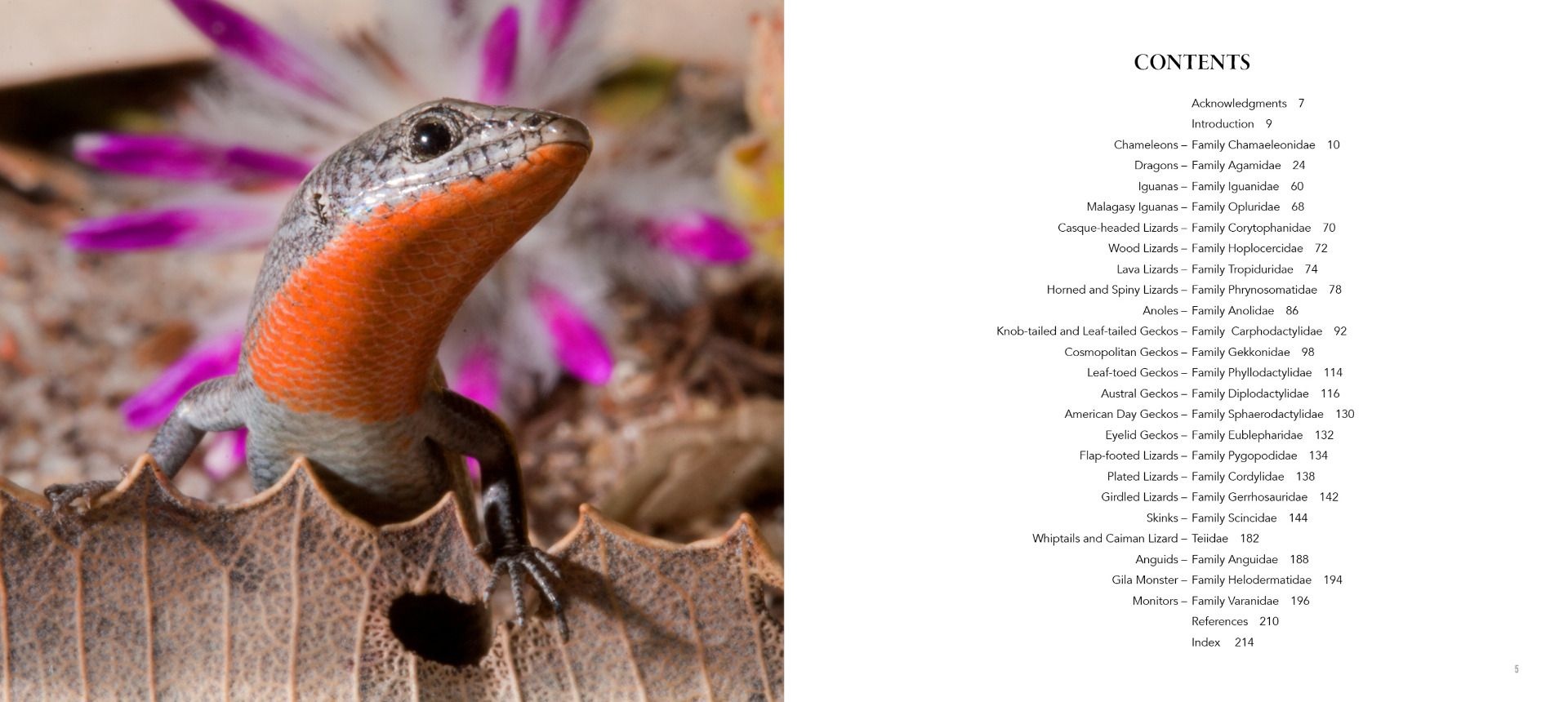 Incredible Lizards - One hundred species from around the world