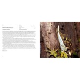 Incredible Lizards - One hundred species from around the world