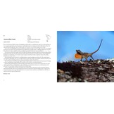 Incredible Lizards - One hundred species from around the world