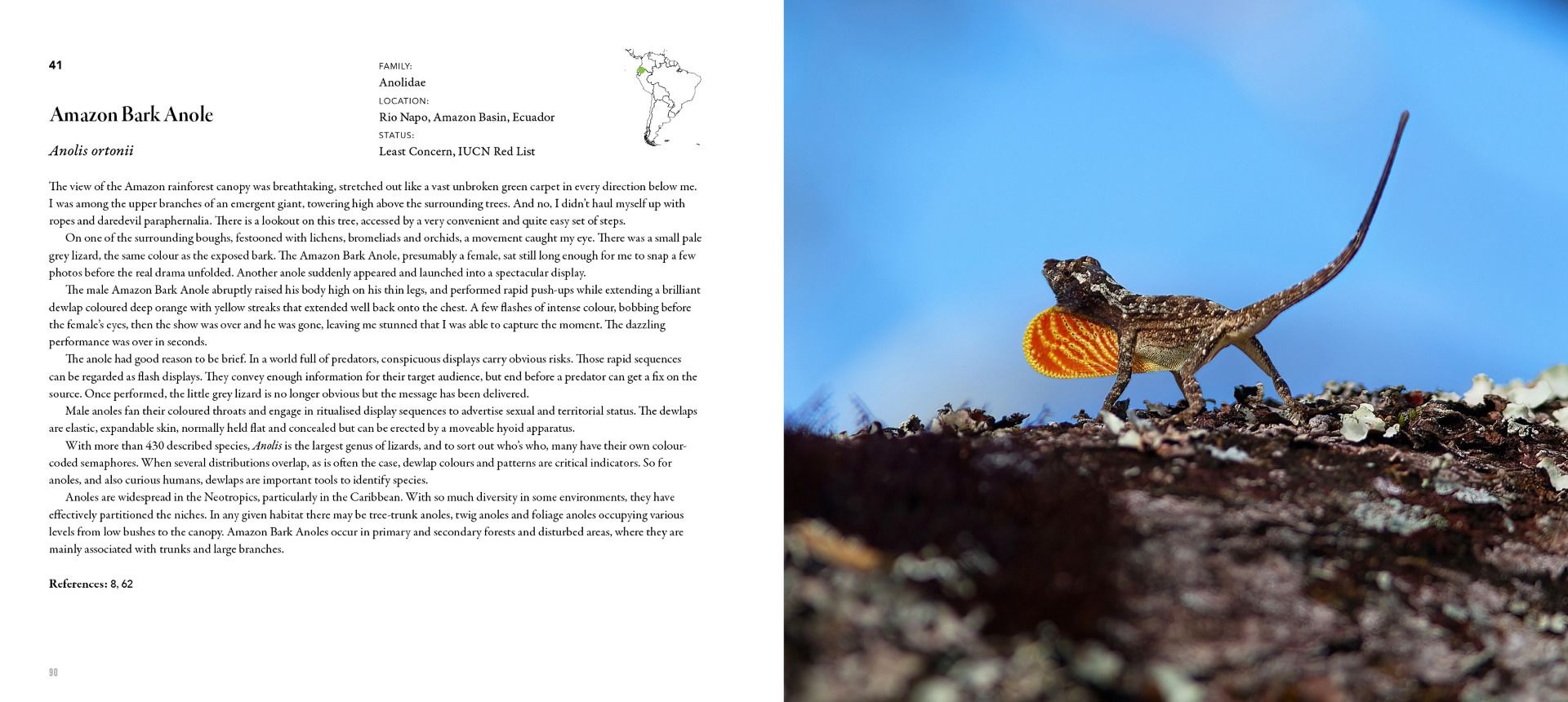 Incredible Lizards - One hundred species from around the world
