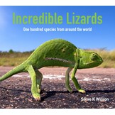Incredible Lizards - One hundred species from around the world