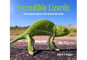 Incredible Lizards