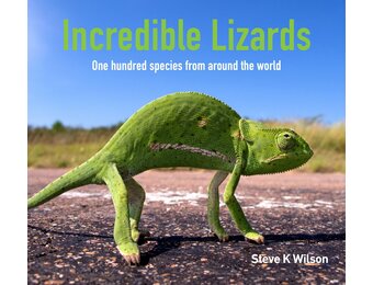 Incredible Lizards