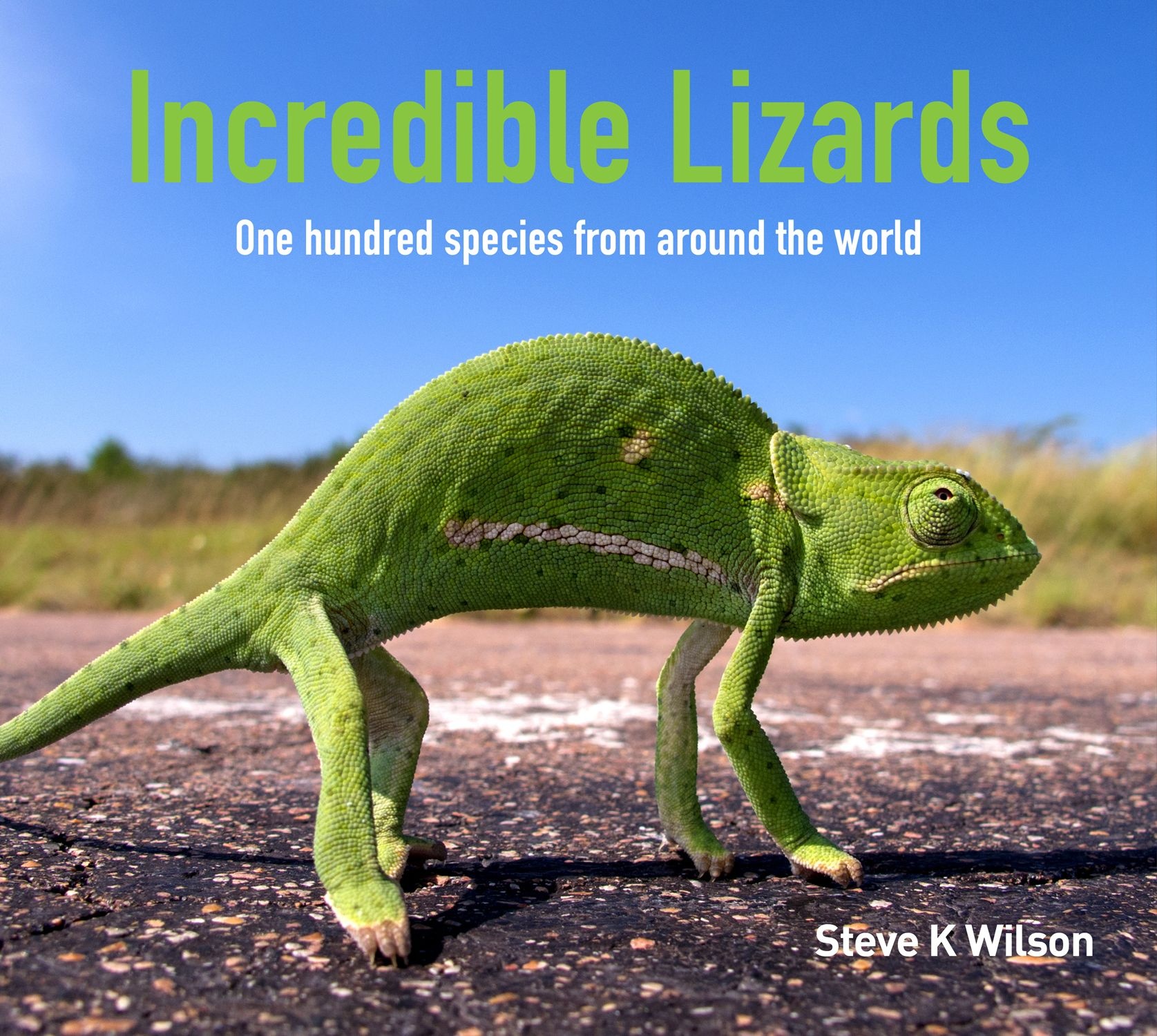 Incredible Lizards - One hundred species from around the world