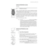 Beetles of Britain and Ireland, Volume 4 Cerambycidae to Curculionidae