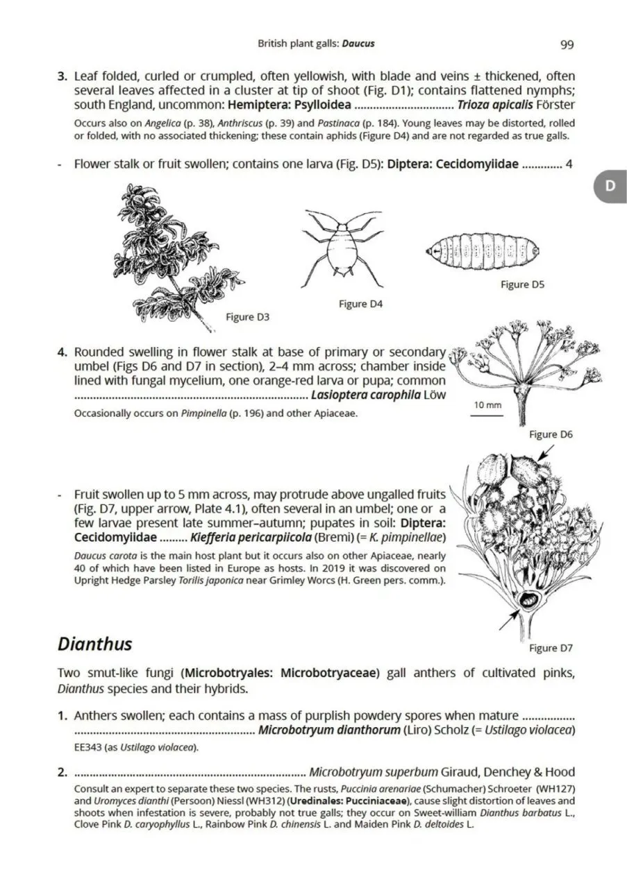 British Plant Galls