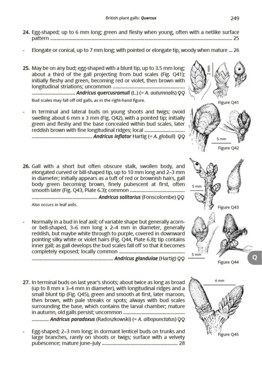 British Plant Galls