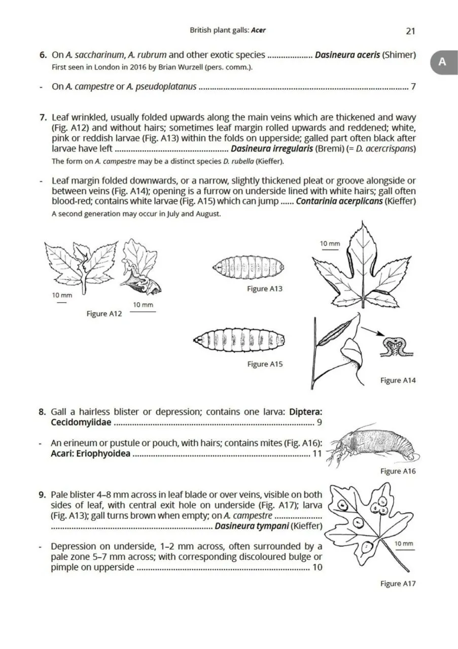 British Plant Galls