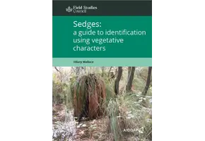 Sedges: A Guide to Identification Using Vegetative Characters
