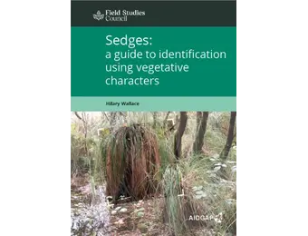 Sedges: A Guide to Identification Using Vegetative Characters