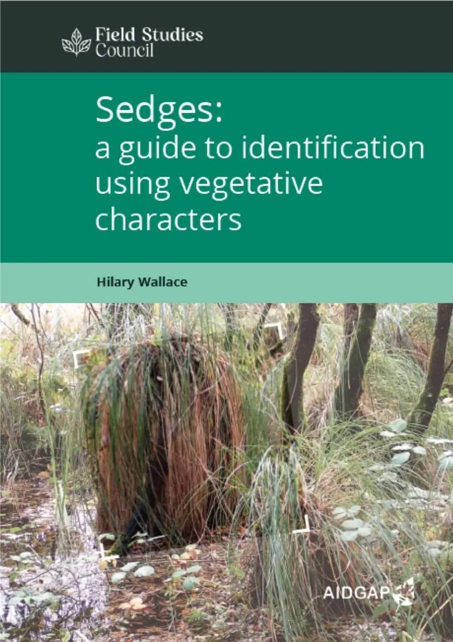 Sedges: A Guide to Identification Using Vegetative Characters