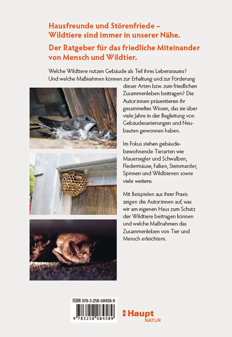 Wildtiere am Haus - So gelingt das Miteinander