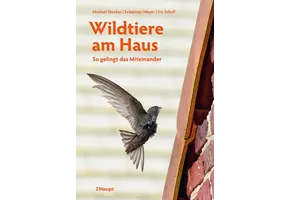 Wildtiere am Haus