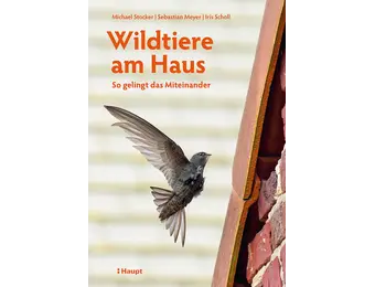 Wildtiere am Haus