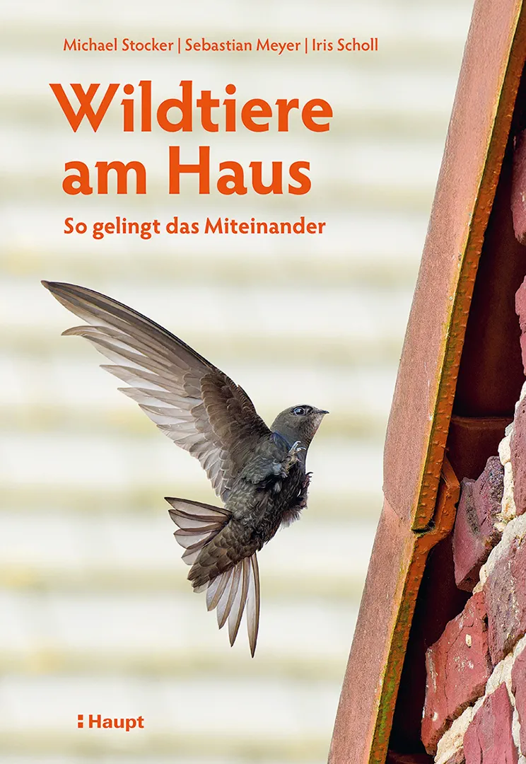 Wildtiere am Haus - So gelingt das Miteinander