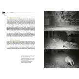 Der Dachs - Ein Wildtier erobert den Siedlungsraum