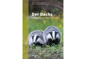 Der Dachs