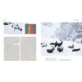 Der Steinbock - Leben auf schmalem Grat