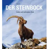 Der Steinbock - Leben auf schmalem Grat