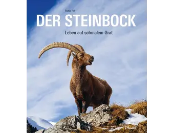 Der Steinbock