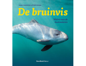 De bruinvis