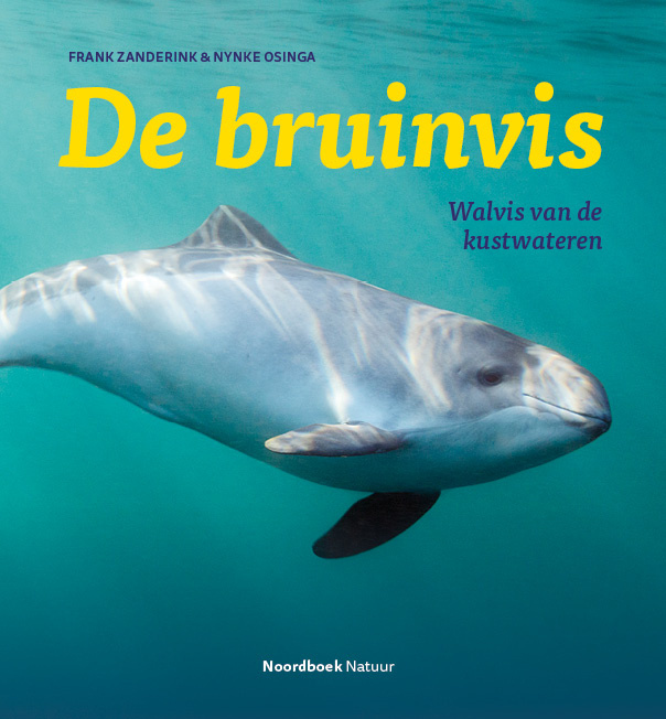 De bruinvis - Walvis van de kustwateren