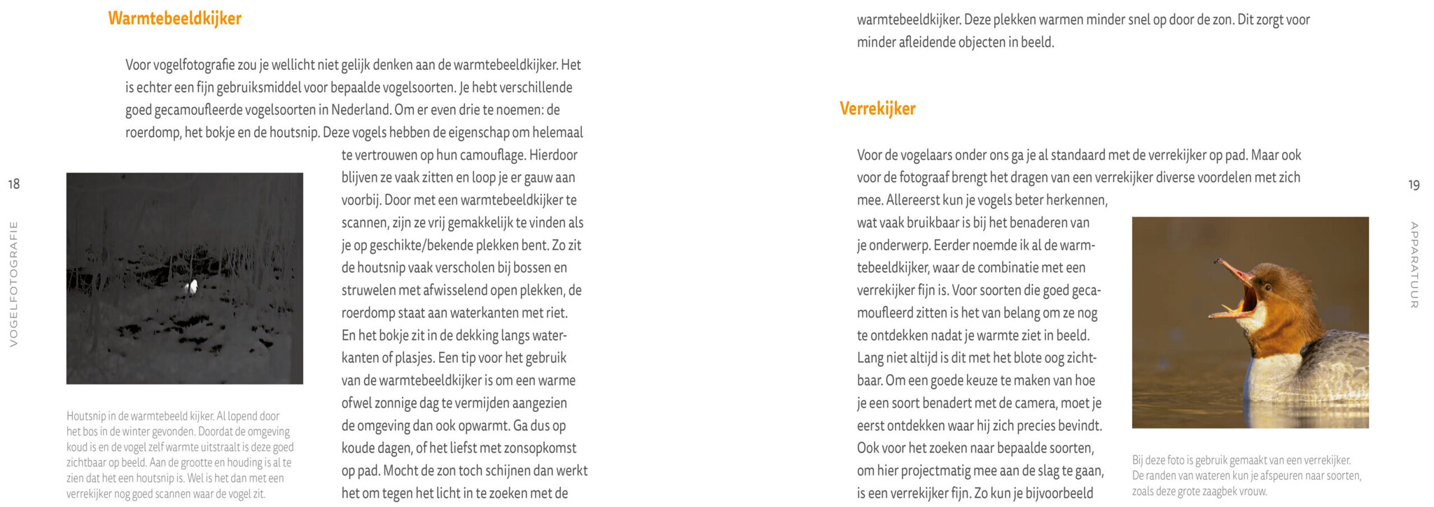 Vogelfotografie - Een inspiratiegids