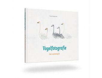 Vogelfotografie