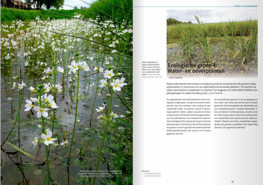 De Drentse flora in Beweging - Verdwenen, gebleven, (weer) verschenen