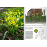 De Drentse flora in Beweging - Verdwenen, gebleven, (weer) verschenen