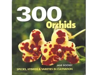 300 Orchids