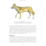 Wolf: The Illustrated Biography